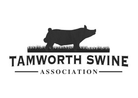 Tamworth Swine Association Logo