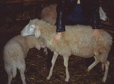 Photo source: Agraria.org