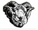 North American Shetland Sheepbreeders Association