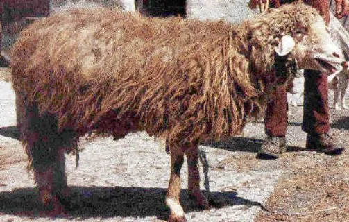 Photo source: Agraria.org