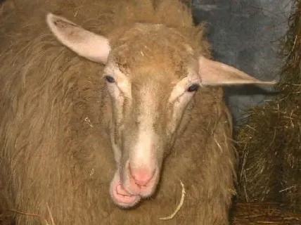 Photo source: Agraria.org.