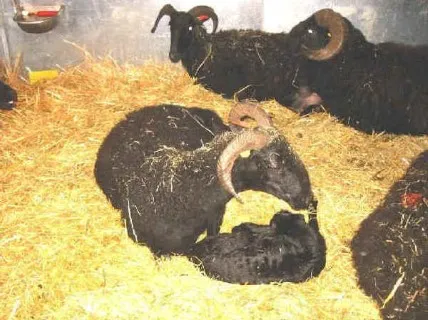 Photo source: Agraria.org.