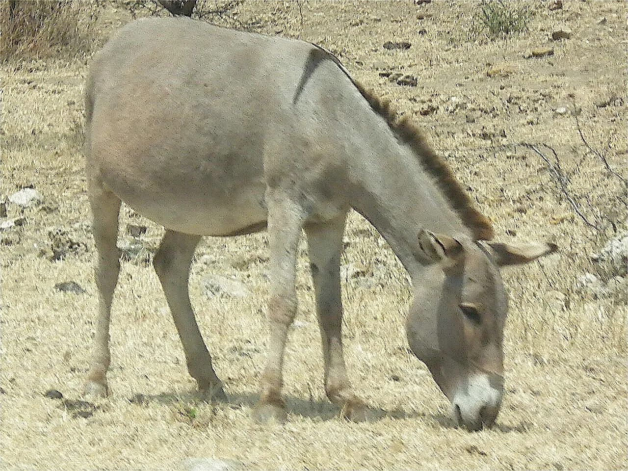 Photo Source: Wikipedia.org