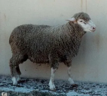 Photo source: Agraria.org.