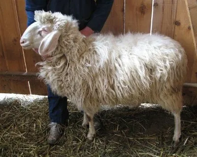 Photo source: Agraria.org.