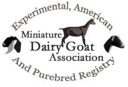 Miniature Dairy Goat Association